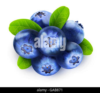 Les bleuets isolés. Six fruits bleuets isolé sur fond blanc avec clipping path Banque D'Images