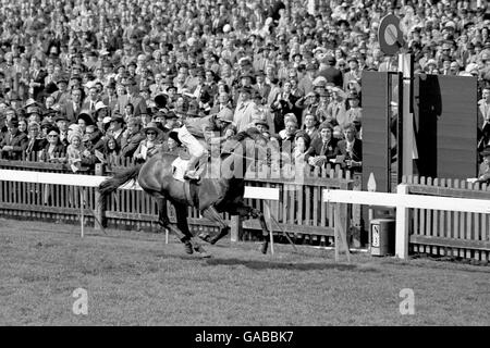 Le Brigadier Gerard, Joe Mercer UP, rentre chez lui pour gagner les Guinéas 2000. Banque D'Images