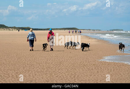 Les gens qui marchent sur les chiens holkham beach, North Norfolk, Angleterre Banque D'Images