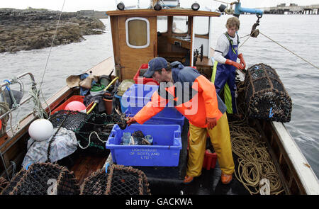 Pêcheur de homard Ross MacLennon Skipper du bateau « Carrie Anne » De Milton Harbour sur l'île de Tiree avec matelet William Walker (portant un chapeau) débarque du homard dans l'océan Atlantique Banque D'Images