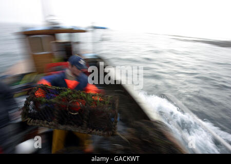 Pêcheur de homard Ross MacLennon Skipper du bateau « Carrie Anne » De Milton Harbour sur l'île de Tiree avec matelet William Walker (portant un chapeau) Jeter des pots de homard à la mer alors qu'ils atterrtent du homard dans le Océan Atlantique Banque D'Images