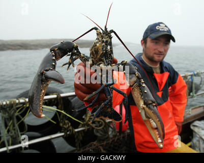 Pêcheur de homard Ross MacLennon Skipper du bateau « Carrie Anne » De Milton Harbour sur l'île de Tiree avec matelet William Walker (portant un chapeau) débarque du homard dans l'océan Atlantique Banque D'Images