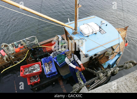 Pêcheur de homard Ross MacLennon Skipper du bateau « Carrie Anne » Retour à Milton Harbour sur l'île de Tiree avec Matelot William Walker (port de chapeau) Après l'atterrissage du homard dans l'océan Atlantique Banque D'Images