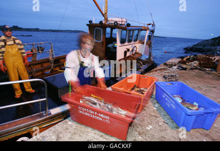Pêcheur de homard Ross MacLennon Skipper du bateau « Carrie Anne » De Milton Harbour sur l'île de Tiree avec matelet William Walker (portant un chapeau) Débarquer leurs prises après la pêche dans l'océan Atlantique Banque D'Images