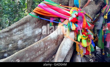 Grand arbre couvert par poudre et attachées avec des tissus multicolores, la foi de la population thaïlandaise Banque D'Images