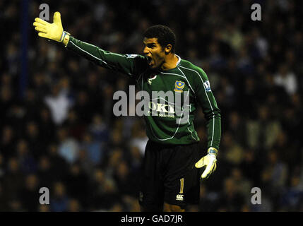 Le gardien de but de Portsmouth, David James, réagit lors du match de la Barclays Premier League à Fratton Park, Portsmouth. Banque D'Images