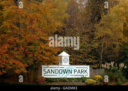 Courses hippiques - Gentleman's Day - Sandown. Signalisation à Sandown Park. Banque D'Images