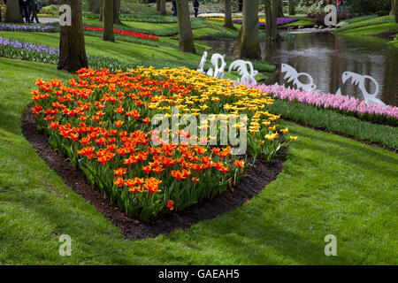 Tulipes, jardin de fleurs Keukenhof, Lisse, Pays-Bas, Europe Banque D'Images