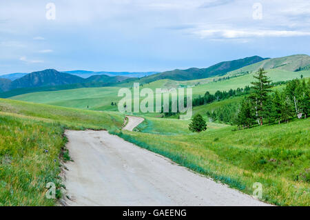 La route sinueuse à travers les collines luxuriantes de steppe de Mongolie centrale Banque D'Images