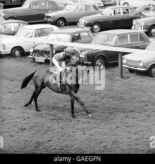 Les courses de chevaux - Goodwood Banque D'Images