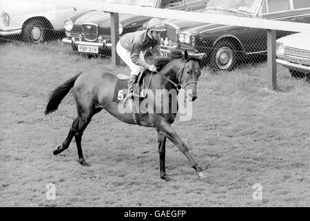 Courses hippiques - Goodwood.Brigadier Gerard, Joe Mercer haut Banque D'Images