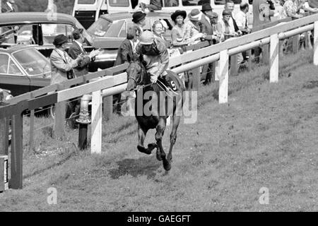 Le Brigadier Gerard, Joe Mercer UP, rentre chez lui pour remporter les enjeux du Sussex Banque D'Images