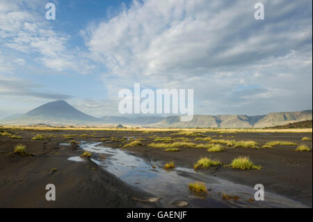 Le volcan Ol Doinyo Lengai au lac Natron, en Tanzanie Banque D'Images