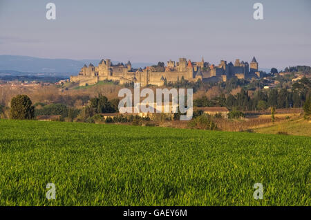 Citer von Carcassonne - Château de Carcassonne dans le sud de la France Banque D'Images