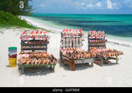 La magnifique île de Providenciales dans les îles Turks et Caicos offre plusieurs boutiques et des activités de plage pour profiter. Banque D'Images