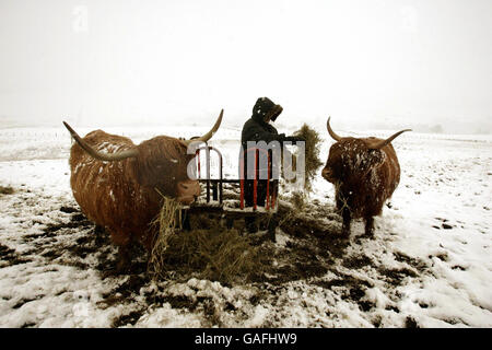 Bulletins d’enneigement au Royaume-Uni Banque D'Images