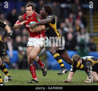 Rugby Union - Heineken Cup - Pool 5 - London Wasps v Llanelli Scarlets - Adams Park Banque D'Images