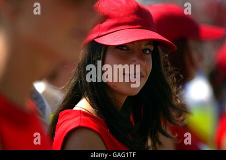 Course de Formule 1 - Grand Prix de Hongrie - Race Banque D'Images