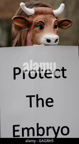 Protester contre les embryons homme-animal Banque D'Images