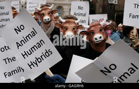 Protester contre les embryons homme-animal Banque D'Images