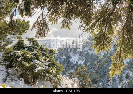 Paysage de neige en hiver. Vue de la montagne Parnitha en Grèce. Banque D'Images