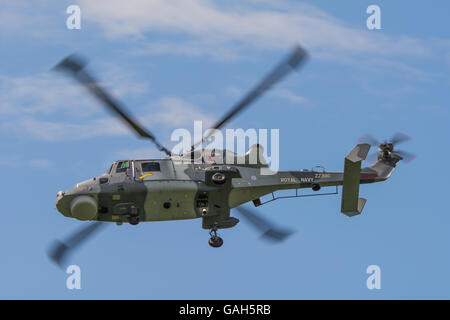 Agusta Westland Wildcat HMA2 de la Marine royale britannique Black Cats Display Team. Banque D'Images