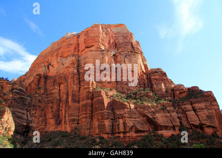 Angels Landing dans Zion National Park, Utah Banque D'Images