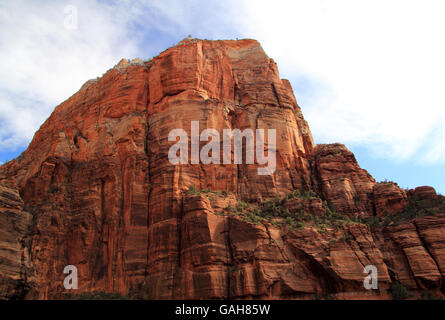 Angels Landing dans Zion National Park, Utah Banque D'Images