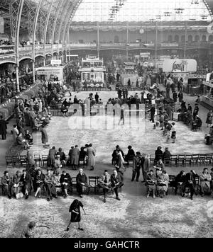 Animaux - Crufts Dog Show - Olympia Banque D'Images