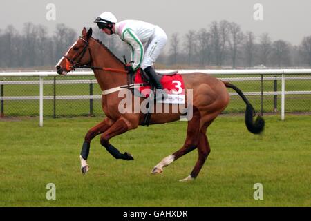 Courses hippiques - courses de Kempton.Squire approprié monté par Noel Fehily Banque D'Images