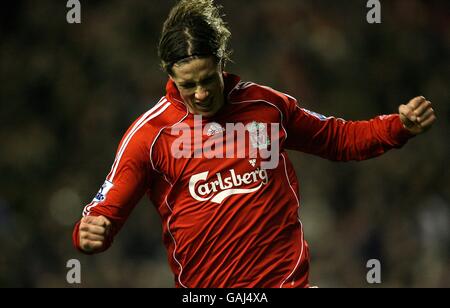 Football - Barclays Premier League - Liverpool / Sunderland - Anfield. Fernando Torres de Liverpool célèbre son but. Banque D'Images