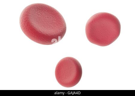 Les cellules de sang rouge isolé sur fond blanc. 3d illustration Banque D'Images