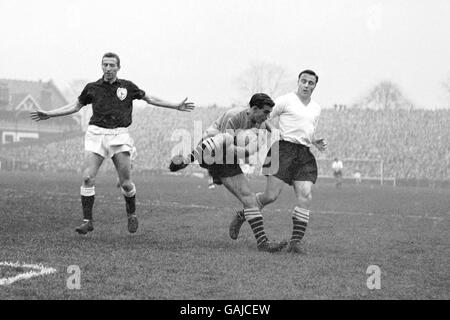 Le gardien de but de Fulham Tony Macedo (c) réclame la balle sous pression De Tottenham Hotspur Cliff Jones (l) comme coéquipier George Cohen (r) regarde Banque D'Images