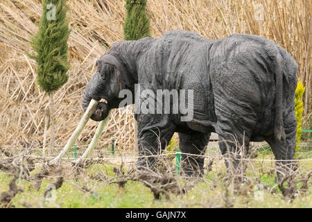 Athènes, Grèce 17 janvier 2016. Parc des dinosaures en Grèce montrant animaux éteints depuis la terre. Banque D'Images