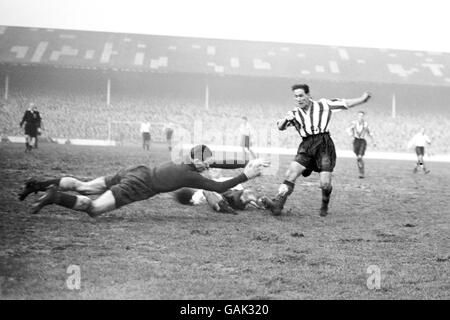 Football - Football League Division One - Tottenham Hotspur v Newcastle United Banque D'Images