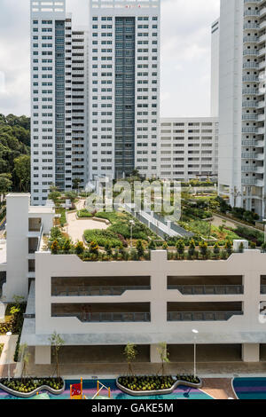 Jardin sur le toit au-dessus de parc de logements publics de Singapour (logement du développement a) les immeubles à appartements. Banque D'Images