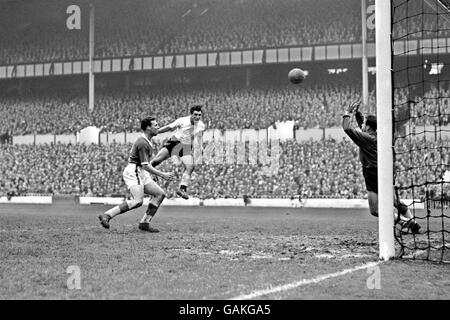 Football - Football League Division One - Tottenham Hotspur v Everton Banque D'Images