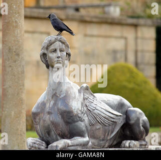 Un oiseau se tient sur un sphinx de Gladys Deacon, la première femme du 9e duc de Marlborough qui est exposé au Palais de Blenheim, Woodstock, Oxfordshire, dans les terrasses de l'eau inférieure du Palais. Un panneau de six yeux frappants montrant trois bleus et trois bruns, peint en 1928 pour Gladys Deacon ont été restaurés et contemplez mystérieusement les visiteurs à leur entrée dans le Palais, ils avaient subi les éléments et se sont détériorés au fil des ans, et sont maintenant retournés à leur gloire d'origine. Banque D'Images