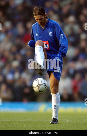 Football - FA Barclaycard Premiership - Arsenal / Birmingham City.Christophe Dugarry, Birmingham Banque D'Images