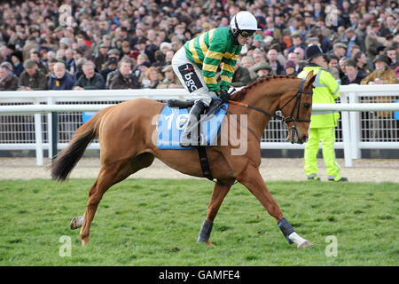 Tony McCoy sur l'ours en paille après le Smurfit Kappa Champion Trophée défi obstacle Banque D'Images