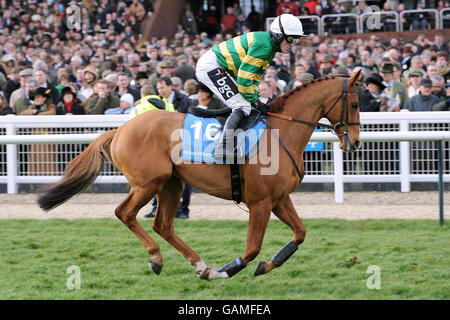 Les courses de chevaux - Cheltenham Festival - Jour 1 - l'Hippodrome de Cheltenham Banque D'Images