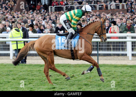 Les courses de chevaux - Cheltenham Festival - Jour 1 - l'Hippodrome de Cheltenham Banque D'Images