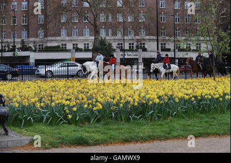 Ville de Londres.Équitation dans Hyde Park Banque D'Images