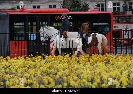 Ville de Londres.Équitation dans Hyde Park Banque D'Images