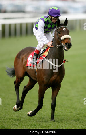 Une affaire décontractée marquée par Jimmy Quinn dans le handicap de doncaster-racecourse.co.uk Banque D'Images