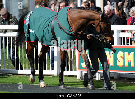 Papillon, vainqueur du Grand National 2000, dans l'anneau de parade avant la course de la journée lors de la Grande Réunion nationale de John Smith en 2008. Banque D'Images