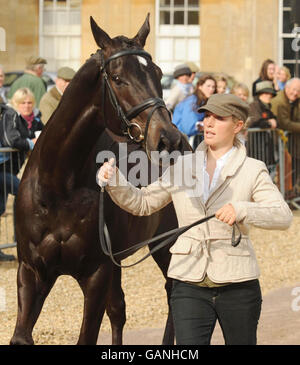 Zara Phillips parades son cheval Glenbuck à l'inspection finale des chevaux tôt le dernier jour des essais de chevaux de badminton Mitsubishi Motors à Badminton, Gloucester. Banque D'Images