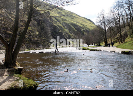 Les « pierres à tremper » sur la rivière Dove à Dovedale, dans le Derbyshire Peak District. Banque D'Images