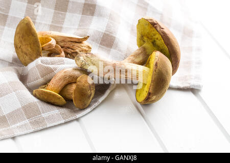 De la récolte d'automne champignons forestiers frais avec cèpes sur tableau blanc. Banque D'Images