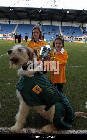 Rugby Union - Powergen Cup - Demi-finale - London Irish v Northampton Banque D'Images